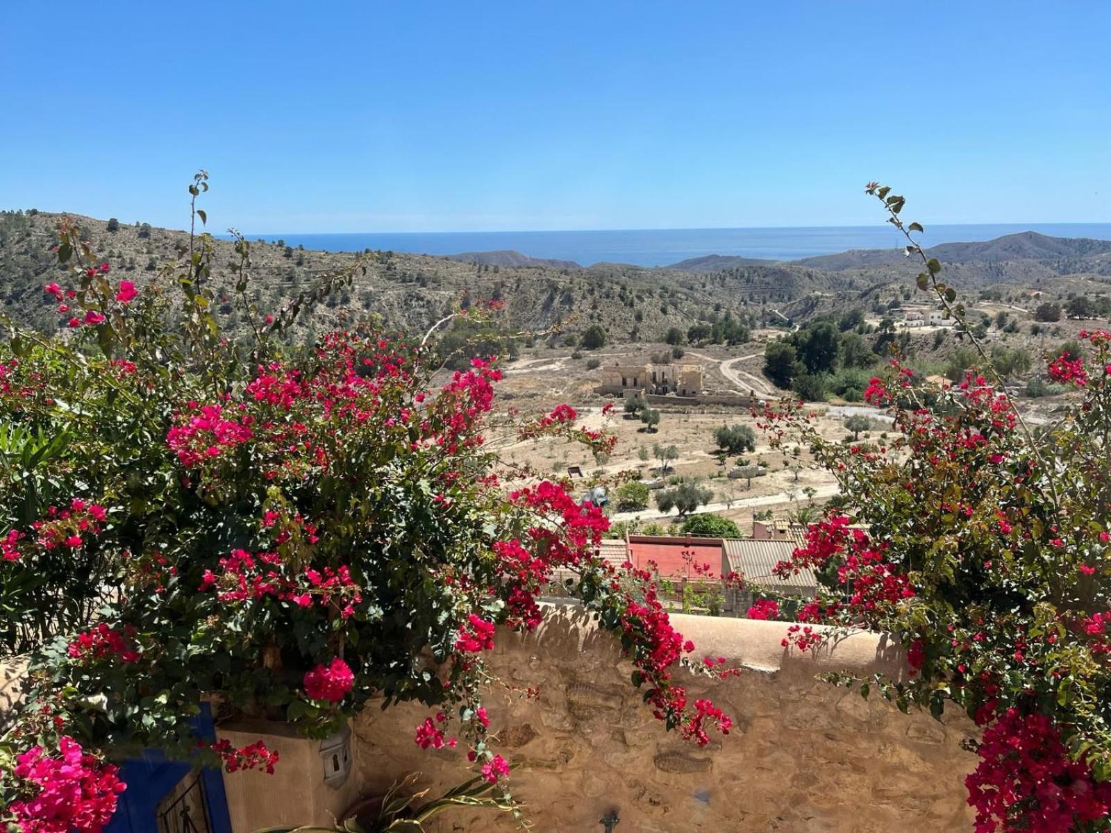 Casa Con Vistas Al Mar Y Patio De Buganvillas Aigues 외부 사진